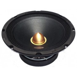 Medium, 10", 200 watt rms/500 w max - Typ 13