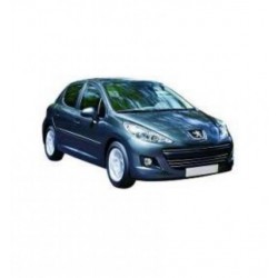 Pack of LEDs for Peugeot 207