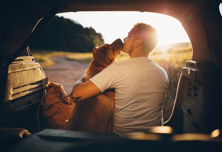 Consejos para llevar a tu mascota en el coche este verano 