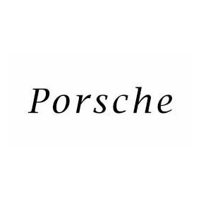 Interface para Cámara de aparcamiento Porsche - ZesfOr