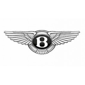 Suitcases for Bentley - Kjust®