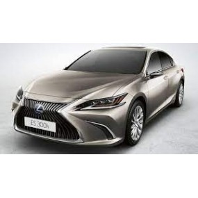 Acessórios Lexus IS (2017 - atualidade)