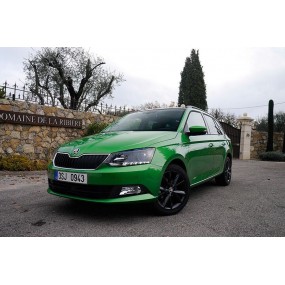 Accesorios Skoda Fabia Combi (2015 - actualidad)