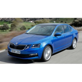 Acessórios Skoda Octavia Berlina (2017 - 2020)