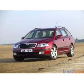 Acessórios Skoda Octavia Combi (2004 - 2008)