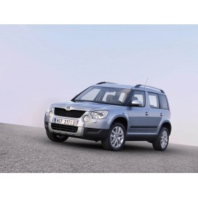 Accesorios Skoda Yeti (2009 - 2014)