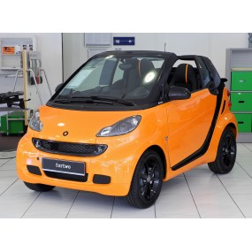 Accesorios Smart Fortwo A451 (2007 - 2014) Cabrio