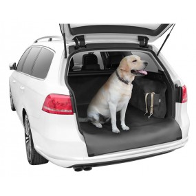 Accessories to protect the inside of the car of pets